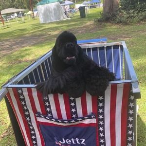 Meet your Posher, Victoria